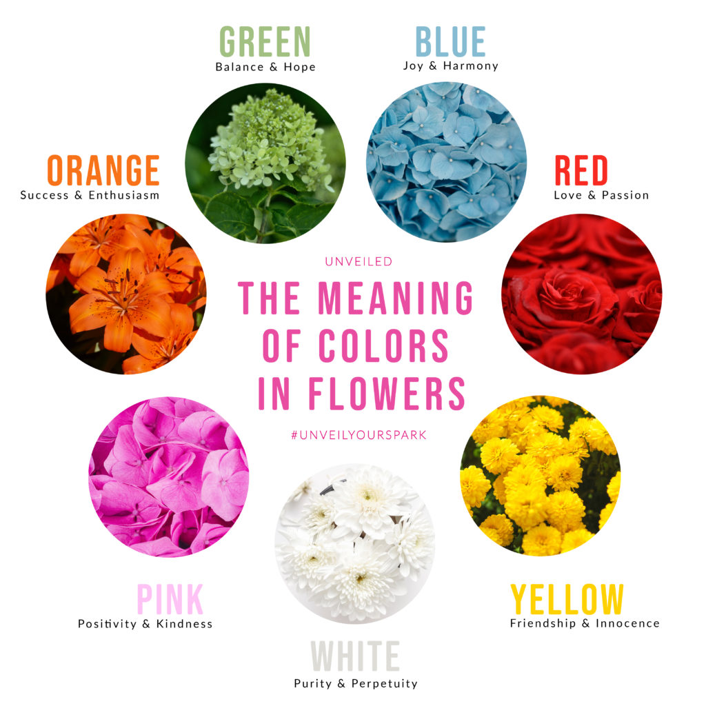 Which Flower Symbolizes Purity at Hazel Otey blog